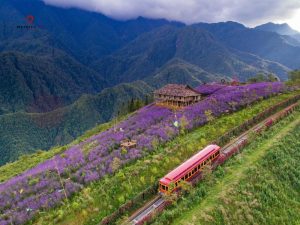 Tour Sapa 2 ngày 1 đêm trọn gói | Khởi hành hằng ngày