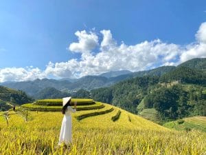 486625142 3250997548373559 6609224420853061056 n