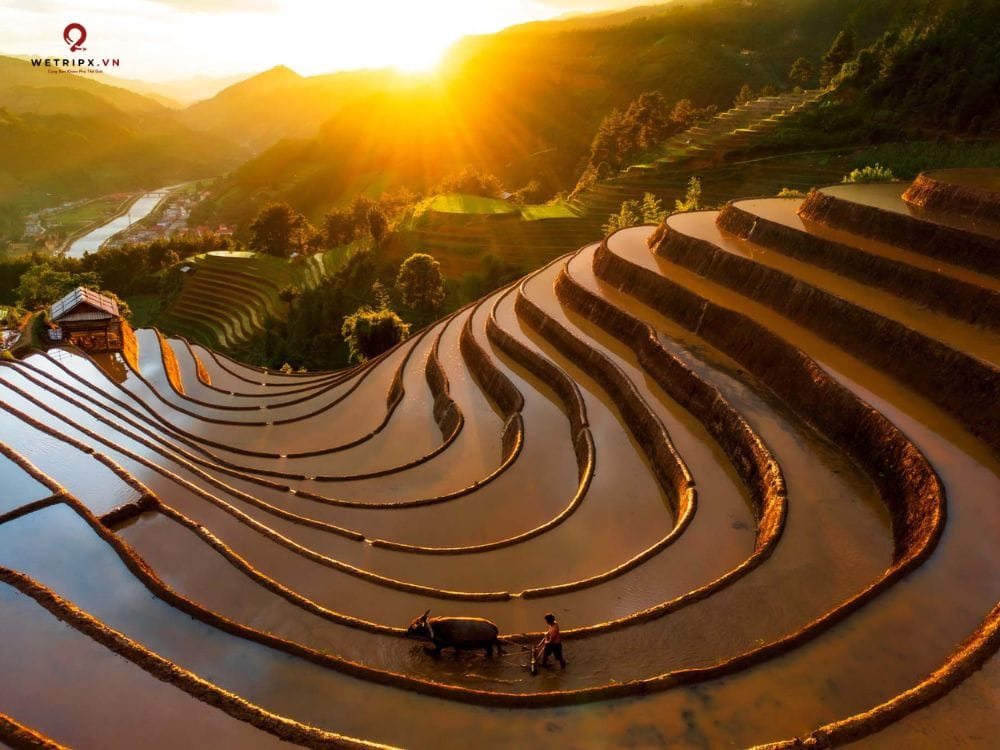 General Web Wetripx 2