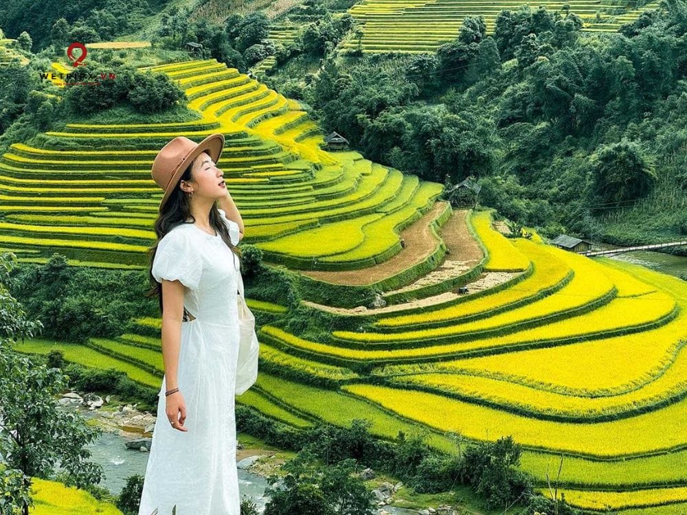 Ruộng bậc thang Mũi Giày Mù Cang Chải 
