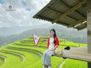 đồi mâm xôi Mù Cang Chải