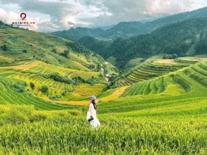 tour mù cang chải