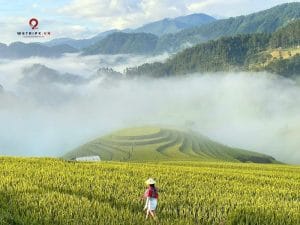 Thiet ke chua co ten 7 1