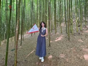 Rừng Trúc Mù Cang Chải