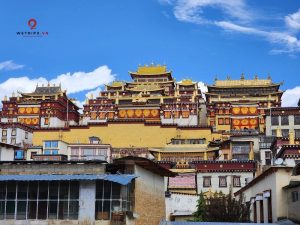 Tu viện Tùng Tán Lâm – kỳ quan tâm linh huyền bí, biểu tượng văn hóa Tây Tạng giữa lòng Shangrila.