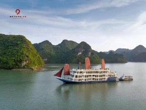 Verdure Lotus Luxury Cruise (11)