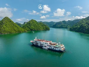 5-Star Aqua Of The Seas Cruise