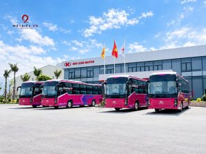 Phong Nha to Hoi An VIP Cabin Sleeper Bus | Daily Departures & Comfortable Private Cabins 10 Phong Nha to Hoi An VIP Cabin Sleeper Bus | Daily Departures & Comfortable Private Cabins - Image 5