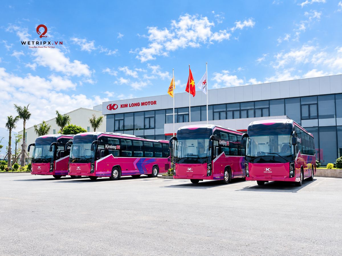 Phong Nha to Hoi An VIP Cabin Sleeper Bus | Daily Departures & Comfortable Private Cabins 5 Phong Nha to Hoi An VIP Cabin Sleeper Bus | Daily Departures & Comfortable Private Cabins - Image 5