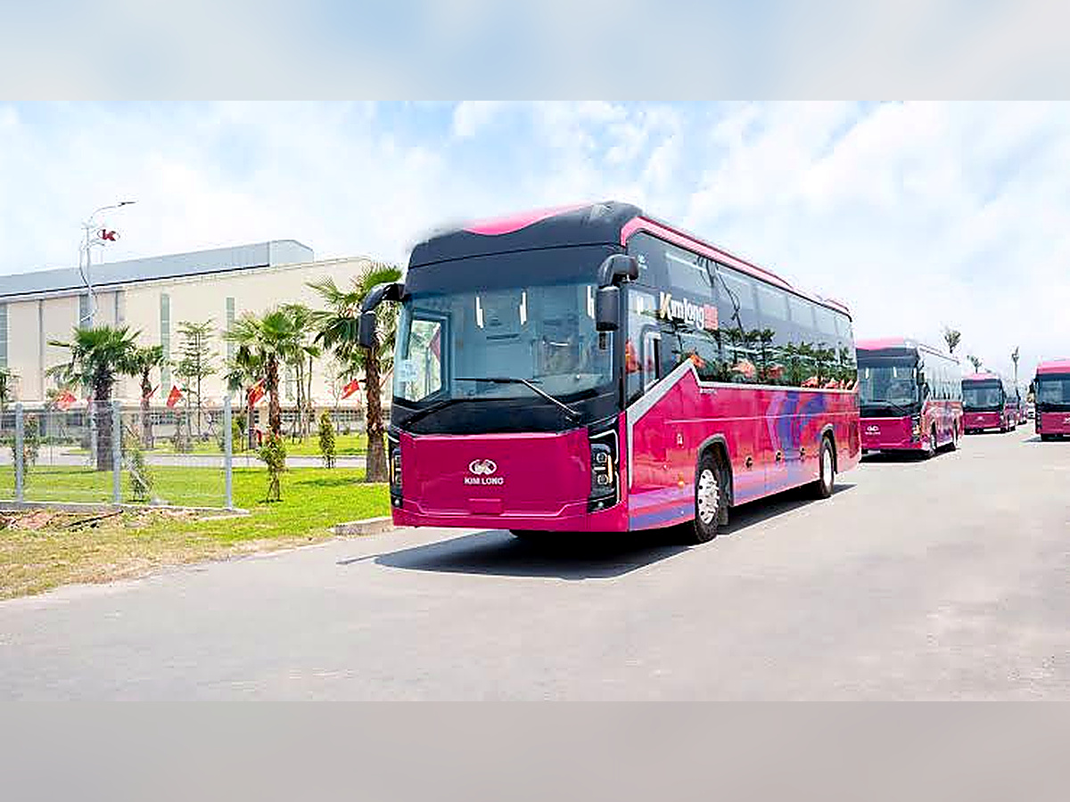 Phong Nha to Hoi An VIP Cabin Sleeper Bus | Daily Departures & Comfortable Private Cabins 6 Phong Nha to Hoi An VIP Cabin Sleeper Bus | Daily Departures & Comfortable Private Cabins - Image 6