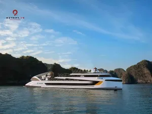 Du thuyền Dolphin Cruise Hạ Long