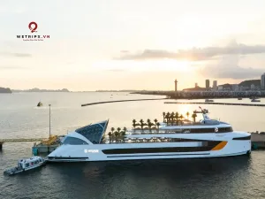Dolphin cruise Hạ Long