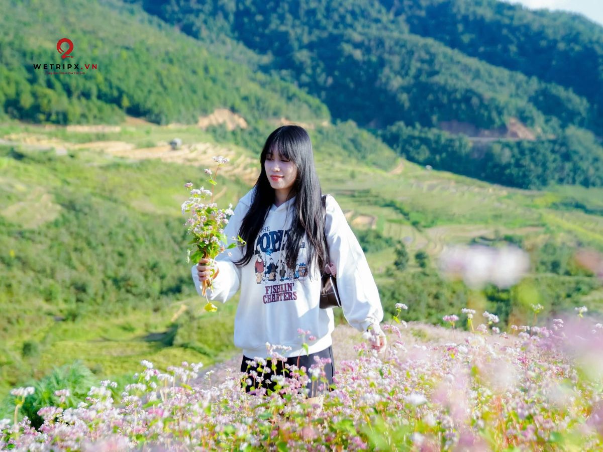 Lễ hội hoa Tam giác mạch là một sự kiện văn hóa đặc sắc của Hà Giang 