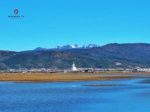 thao nguyen Napa Hai 2