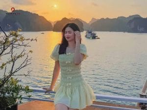 tour cát bà wetripx travel