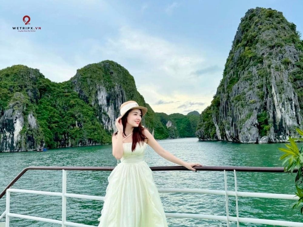tour cát bà wetripx travel