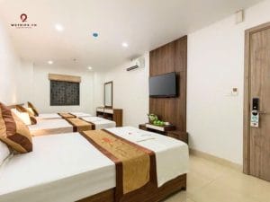 tour cat ba wetripx travel 255