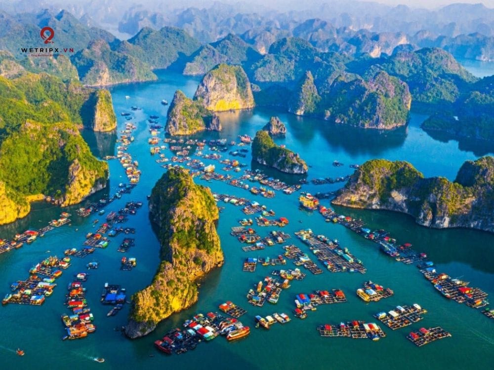 Làng chài cổ đại Cái Bèo