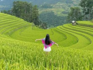 tour hà nội mù cang chải