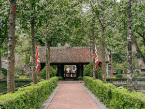 tour ha noi ninh binh 1 ngay 5