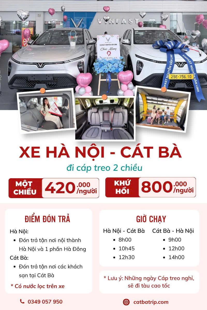 wetripx travel limogreen