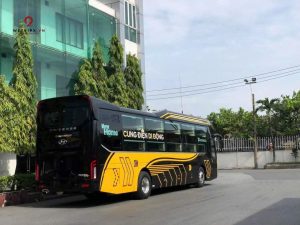 Xe Cabin VIP 24 Buồng